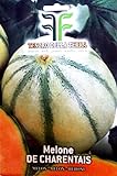 120 C.ca Semi Melone De Charentais - Cucumis Melo In Confezione Originale Prodotto in Italia - Meloni foto, nuovo 2024, miglior prezzo EUR 7,40 recensione