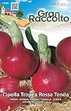 Hortus 30CIP2286 Gran Raccolto Cipolla Tropea, Tonda, Rosso, 13x0.4x20 cm foto, nuovo 2024, miglior prezzo EUR 1,50 recensione