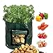 foto Scoolr, confezione da 2 borse per la coltivazione di patate, da 26,5 litri, borsa con finestra di areazione apribile per coltivare ortaggi come patate, carote, cipolle, pomodori, 33 cm x 35 cm recensione