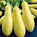 foto Precoce maturazione lunga bianca Melanzana F1 Vegetable Seeds, pacchetto all'ingrosso, 200 semi, Nizza KK179 pelle recensione