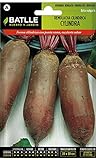 Semi Ortaggi Di Batlle - Barbabietola Cylindra (500 Seeds) foto, nuovo 2024, miglior prezzo EUR 1,95 recensione