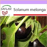 PLAT firm-SEMI SAFLAX - Melanzana - 20 semi - Solanum melonga foto, nuovo 2024, miglior prezzo EUR 10,64 recensione