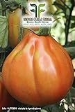 700 C.ca Semi Pomodoro Pearson - Lycopersicum Esculenthum In Confezione Originale Prodotto in Italia - Pomodori foto, nuovo 2024, miglior prezzo EUR 7,40 recensione
