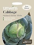 Unwins Pictorial pacco – cavolo Holland Winter bianco – 200 semi foto, nuovo 2024, miglior prezzo EUR 1,66 recensione
