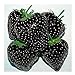 foto Exotic Plants nera fragola - - 30 semi recensione