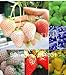 foto 12 tipi fragola semi (rosso, blu, verde, giallo, bianco, nero) Seasons 12 confezioni 240pcs semi di frutta Bonsai fai da te recensione