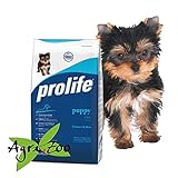 PROLIFE - Puppy Mini 12 kilogramm foto, nuovo 2024, miglior prezzo EUR 50,25 recensione