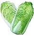 foto KINGDUO Semi di Cavolo Delizioso Cinese di 100Pcs Nutriente Verde Verdura Semi di Brassica Piante Giardino recensione