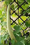 Semi di zucca serpente - Lagenaria siceraria - 24 semi - 24 semi foto, nuovo 2024, miglior prezzo  recensione