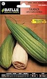 Semi ortaggi di Batlle - Zucca Luffa (Seeds) foto, nuovo 2024, miglior prezzo EUR 5,29 recensione