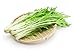 foto Mizuna, semi di senape giapponesi - Brassica rapa nipposinica recensione