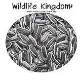 Wildlife Kingdom - Semi di girasole striati di alta qualità, adatti come cibo per i pappagalli parrocchetto, mangime energetico per uccelli selvatici✔ foto, nuovo 2024, miglior prezzo EUR 19,95 recensione