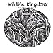 foto Wildlife Kingdom - Semi di girasole striati di alta qualità, adatti come cibo per i pappagalli parrocchetto, mangime energetico per uccelli selvatici✔ recensione