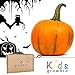 foto Growbro - Set per la coltivazione di zucca, Halloween, semi di zucca, Halloween, regali, Halloween, zucca decorativa, semi di zucca recensione
