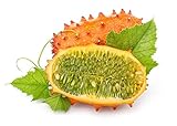 Kiwano, semi di melone cornuto - Cucumis metuliferus - 13 semi - 13 semi foto, nuovo 2024, miglior prezzo  recensione