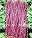 foto Pinkdose 20 pc/sacchetto cinese lungo fagioli Vigna unguiculata Semi, lungo Podded Cowpea Bean Snake Vegetable Seeds, Giardino lunghe Semini di fagiolo: 4 recensione