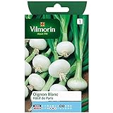 Vilmorin - Bustina semi Cipolle bianco presto de Paris foto, nuovo 2024, miglior prezzo  recensione