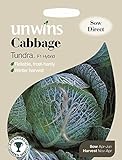 Unwins Pictorial pacco – cavolo Tundra F1 – 45 semi foto, nuovo 2024, miglior prezzo EUR 3,32 recensione