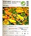 foto Semi di erbe - Calendola / Fiorrancio- Calendula officinalis - Asteraceae 200 Semi recensione