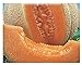 foto 150 C.ca Semi Melone Top Mark - Cucumis Melo In Confezione Originale Prodotto in Italia - Meloni recensione