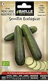 Battle - Semi Ecologici Cetriolo Marketmore 70 (95 Semi - Bio) foto, nuovo 2024, miglior prezzo EUR 7,96 recensione