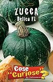 Portal Cool Zucca Delica F1 1 pacchetto semina 1 confezione di semi di zucca foto, nuovo 2024, miglior prezzo EUR 9,99 recensione