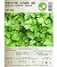 foto Semi di erbe - Cerfoglio/Anthriscus cerefolium - Apiaceae - diversi tipi(Cerfoglio - solo) recensione