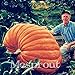 foto 20Pcs Super grandi semi di zucca vegetali non OGM giardino di casa fai da te bonsai dono di semi di zucca gigante commestibile per gli impianti di divertimento di Halloween recensione