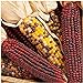 foto KINGDUO Egrow 10Pcs/Pack Mix Colore Mais Semi Frutta Semi Vegetali Giardino Decorazione Bonsai Pianta recensione