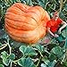 foto Gfone 20pcs / bag semi di zucca semi di zucca gigante di Halloween giardino domestico recensione