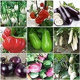 Plentree Green Eggplant 30 semi: Heirloom Orto Melanzana semi non OGM Seeds Bianco sopravvivenza organici foto, nuovo 2024, miglior prezzo  recensione