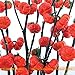 foto Pinkdose Rare russi semi di zucca melanzane, 100 semi/pacchetto, semi di Heirloom Solanum ornamentali melanzane recensione