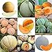 foto Portal Cool 11: 20 Pz/borsa Semi di melone Delicious Melone Seeds Home Garden Plants Btl8 recensione