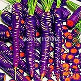 300PCS / bag Drago viola di semi di carota ginseng anti-aging nutriente Bonsai piante Semi per la casa e il giardino foto, nuovo 2024, miglior prezzo EUR 10,99 recensione