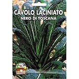 Vivai Le Georgiche Cavolo Laciniato Nero di Toscana (Semente) foto, nuovo 2024, miglior prezzo EUR 4,20 recensione