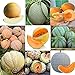 foto Portal Cool 11: 20Pcs / Bag Semi di melone Delicious Melone Seeds Home Garden Plants Fruit Rr6 01 recensione