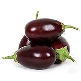 Raavayya Eggplant Seeds (F1 Hybrid from India) VERY Prolific!!!!!(10 - Seeds) Photo, new 2024, best price $4.79 review