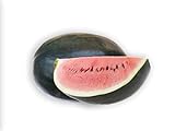 50 Black Diamond Watermelon Seeds for Planting - Heirloom Non-GMO Fruit Seeds for Planting - Grows Big Giant Watermelons Averaging 30-50 lbs Photo, new 2024, best price $5.99 review