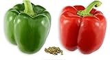 RDR Seeds 100 California Wonder Sweet Pepper Seeds for Planting - Heirloom Non-GMO Pepper Seeds for Planting - Bell Pepper Matures from Green to Red Photo, new 2024, best price $5.99 ($0.06 / Count) review
