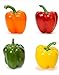 Foto 100 Piezas Rojo Verde Amarillo Naranja Mixto Semillas De Pimiento Morrón Para Plantar Al Aire Libre Cree Un Espléndido Jardín De Verduras Brillantes Amado Por Todos revisión