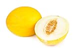Canary Yellow Melon Seeds - Non-GMO - 2 Grams Photo, new 2024, best price $4.99 review