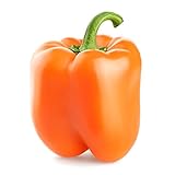 Orange Sun Sweet Bell Pepper Seeds, 100 Heirloom Seeds Per Packet, Non GMO Seeds, Botanical Name: Capsicum annuum, Isla's Garden Seeds Photo, new 2024, best price $6.25 ($0.06 / Count) review