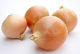 Riverside Sweet Spanish Onion Seeds, 300 Heirloom Seeds Per Packet, Non GMO Seeds Photo, new 2024, best price $5.99 review