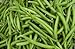 Foto Verde semilla de frijol: Furano haba verde semillas frescas Semilla !!!! (100 + semillas) revisión