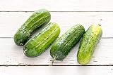 Boston Pickling Cucumber Seeds, 100 Heirloom Seeds Per Packet, Non GMO Seeds, Isla's Garden Seeds Photo, new 2024, best price $6.29 ($0.06 / Count) review