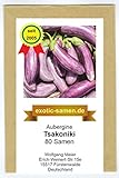 Aubergine - mittelspät - aus Griechenland - Tsakoniki - 80 Samen Foto, neu 2024, bester Preis 2,29 € Rezension