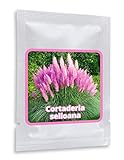 PAMPASGRAS - ca.150 Samen - Cortaderia selloana - Ziergras - der absolute Blickfang in jedem Garten Foto, neu 2024, bester Preis 3,95 € (0,03 € / stück) Rezension