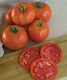 Burpee 'Super Beefsteak' | Red Beefsteak Slicing Tomato | 175 Seeds Photo, new 2024, best price $6.62 review