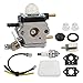 Photo Carbbia C1U-K54A Carburetor with Air Filter Repower Kit for 2-Cycle Mantis Tiller/Cultivator 7222 7222E 7222M 7225 7230 7234 7240 7920 7924 review