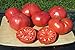 Photo Ohio Heirloom Seeds Beefsteak Tomato Seeds 75+ Heirloom Variety Grown in 2020 review